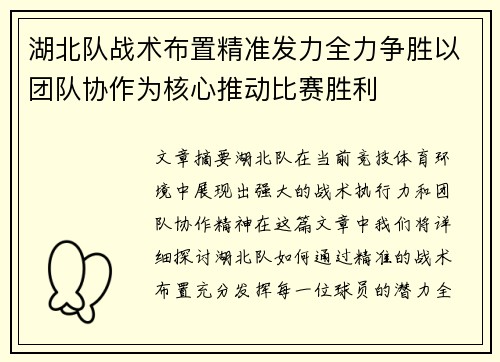 湖北队战术布置精准发力全力争胜以团队协作为核心推动比赛胜利