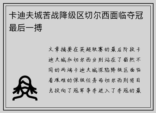 卡迪夫城苦战降级区切尔西面临夺冠最后一搏